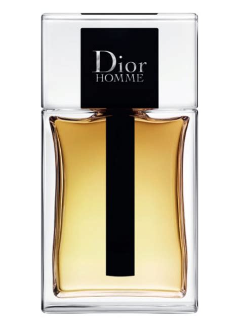 dior homme eau de toilette bee|Dior Homme edt 2020.